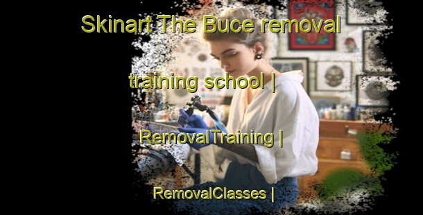 Skinart The Buce removal training school | RemovalTraining | RemovalClasses | SkinartTraining-Montenegro